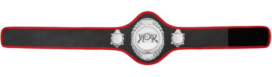 GRAPPLING CHAMPIONSHIP BELT-PRO286/S/GRAPPS-10+ COLOURS
